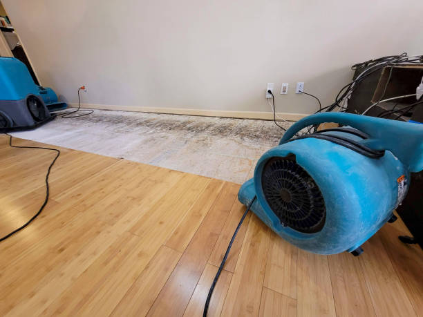 Professional Water Damage Repair technician working in Harper, KS
